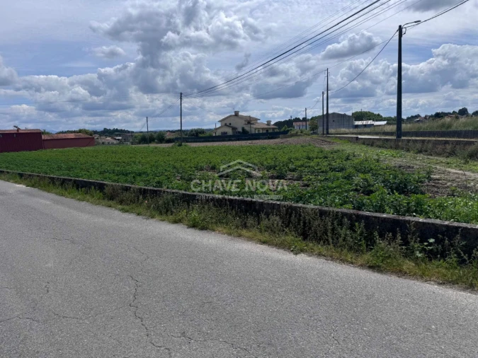 Terreno Agricola ou Rústico para Venda em Bustos, Troviscal e Mamarrosa