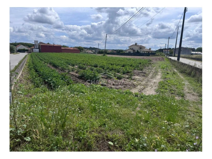 Terreno Agricola ou Rústico para Venda em Bustos, Troviscal e Mamarrosa Foto 2