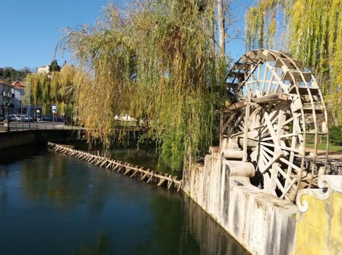 Terreno para Venda em Sabacheira Foto 7