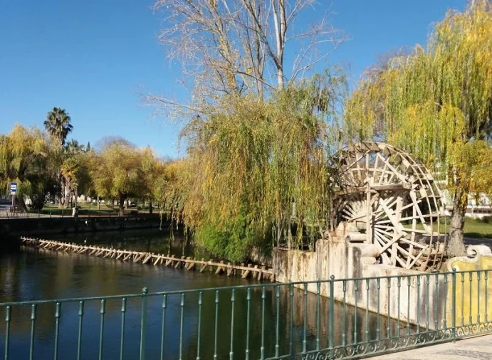 Terreno para Venda em Sabacheira Foto 6
