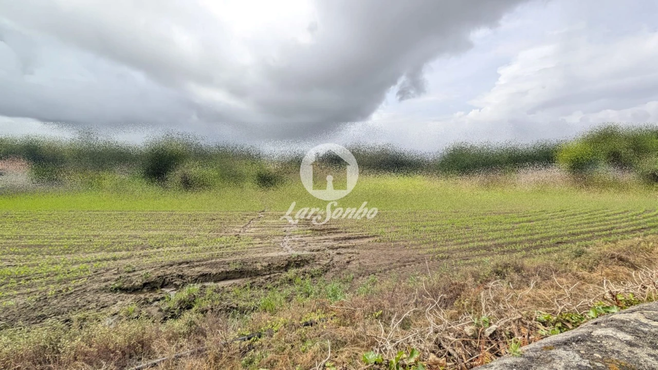 Terreno Agricola ou Rústico para Venda em Junqueira Foto 1
