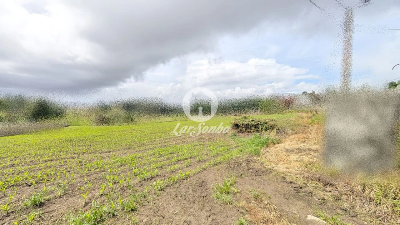 Terreno Agricola ou Rústico para Venda em Junqueira Foto 2