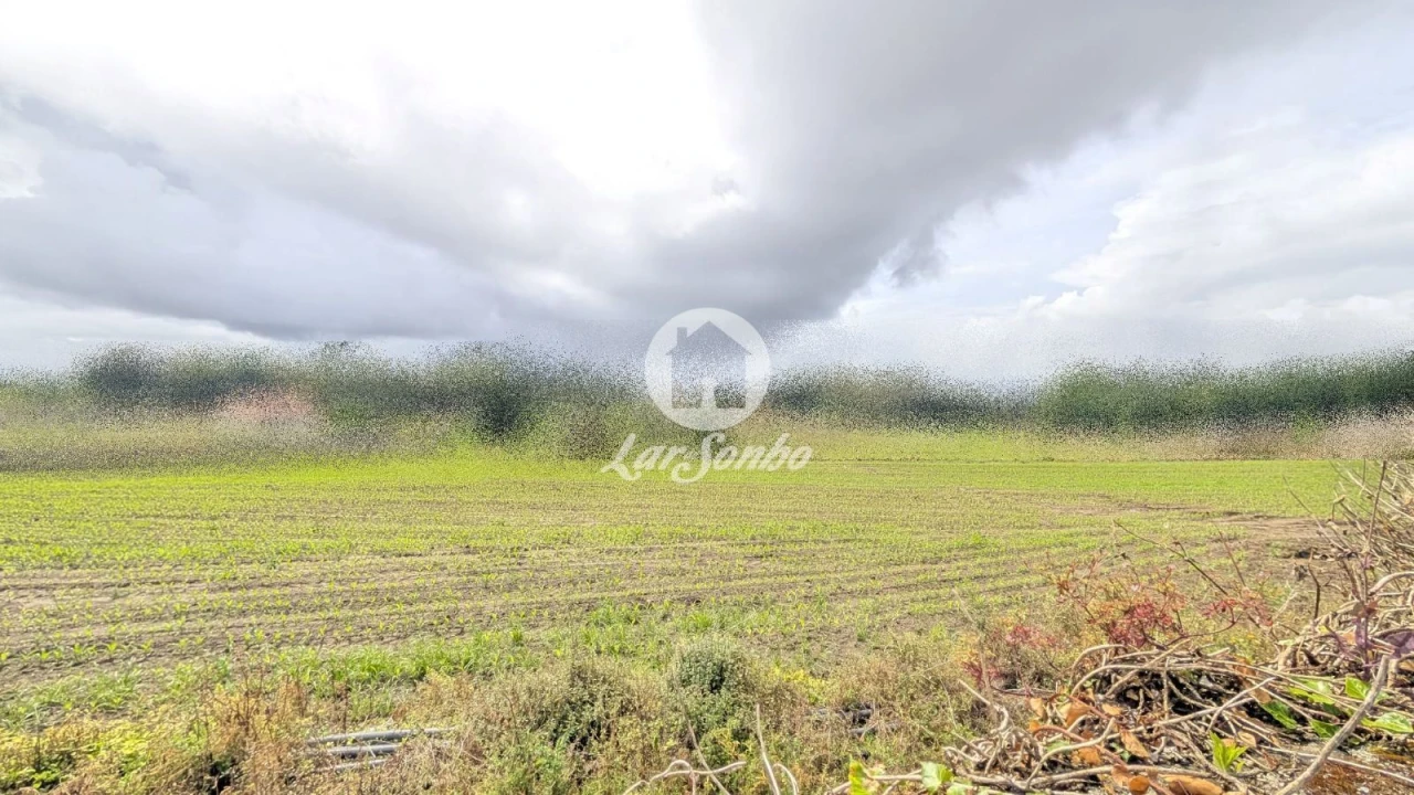 Terreno Agricola ou Rústico para Venda em Junqueira Foto 3