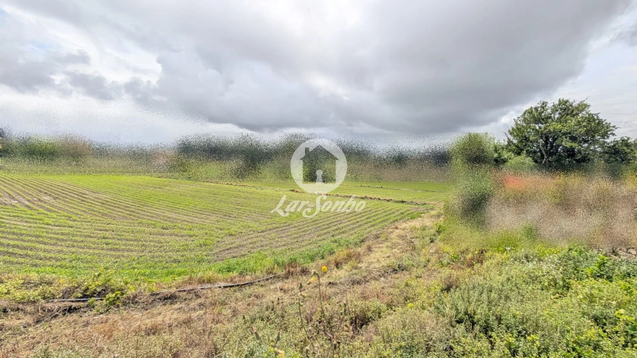 Terreno Agricola ou Rústico para Venda em Junqueira Foto 4