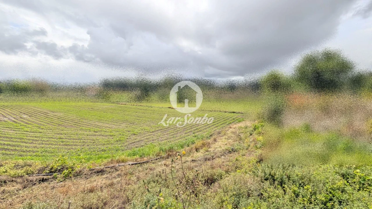 Terreno Agricola ou Rústico para Venda em Junqueira Foto 5