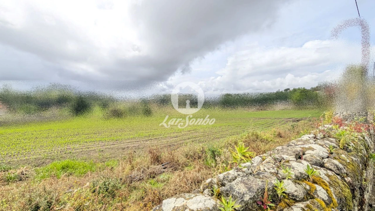 Terreno Agricola ou Rústico para Venda em Junqueira Foto 7