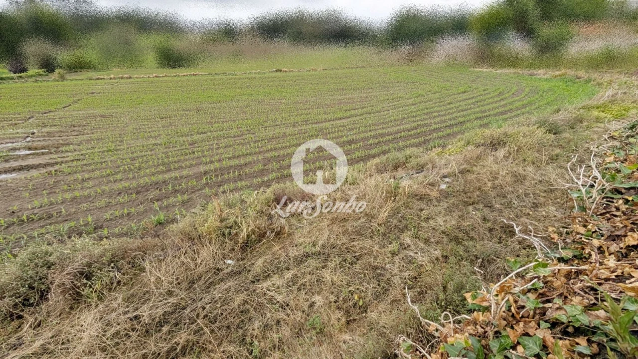Terreno Agricola ou Rústico para Venda em Junqueira Foto 10