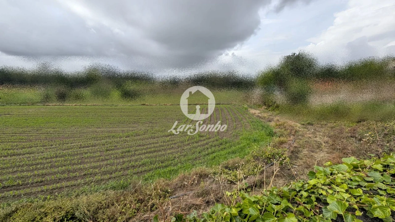 Terreno Agricola ou Rústico para Venda em Junqueira Foto 11