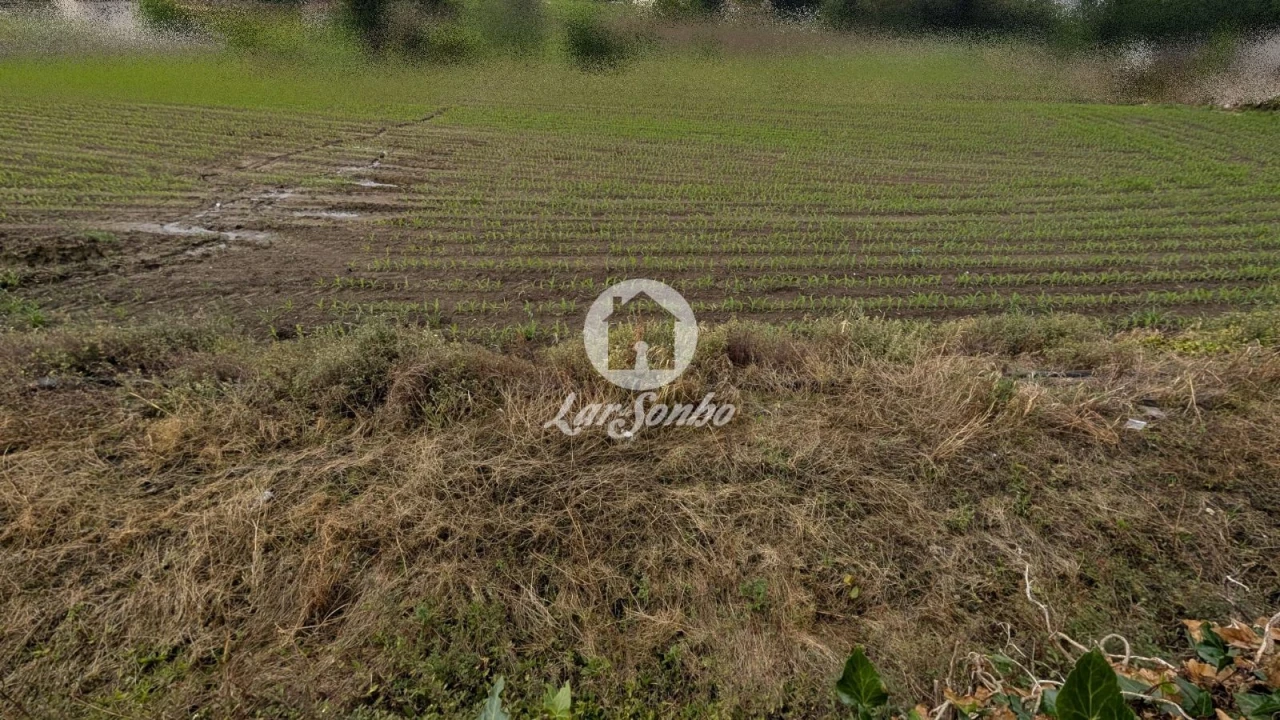 Terreno Agricola ou Rústico para Venda em Junqueira Foto 14