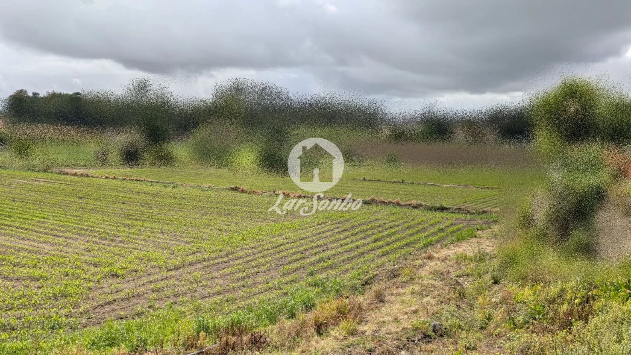 Terreno Agricola ou Rústico para Venda em Junqueira Foto 16