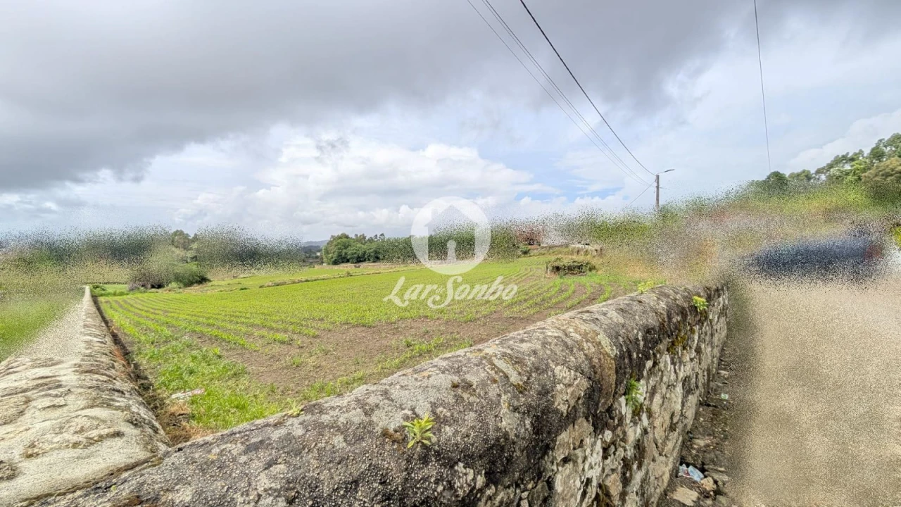Terreno Agricola ou Rústico para Venda em Junqueira Foto 17