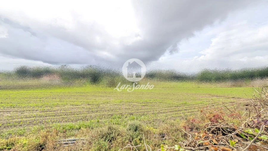 Terreno Agricola ou Rústico para Venda em Junqueira Foto 3