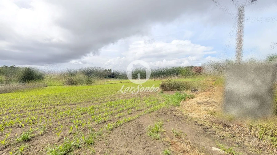 Terreno Agricola ou Rústico para Venda em Junqueira Foto 6
