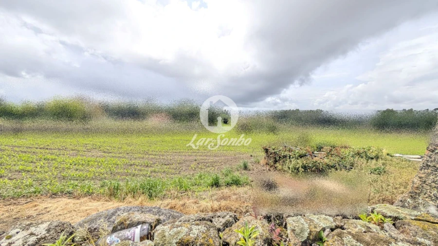 Terreno Agricola ou Rústico para Venda em Junqueira Foto 8