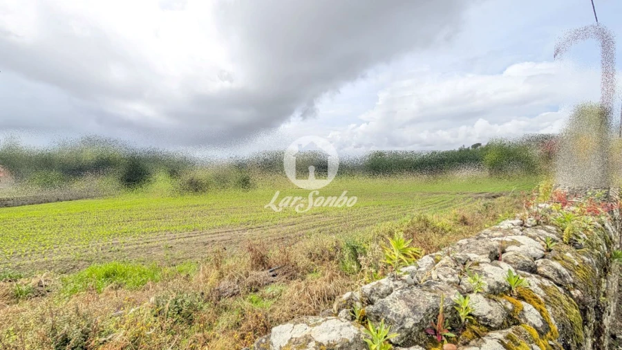 Terreno Agricola ou Rústico para Venda em Junqueira Foto 9