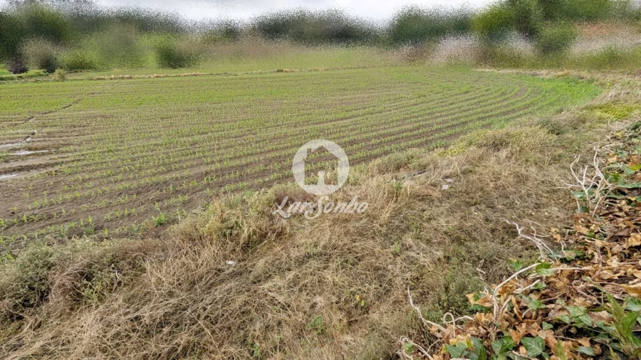 Terreno Agricola ou Rústico para Venda em Junqueira Foto 10