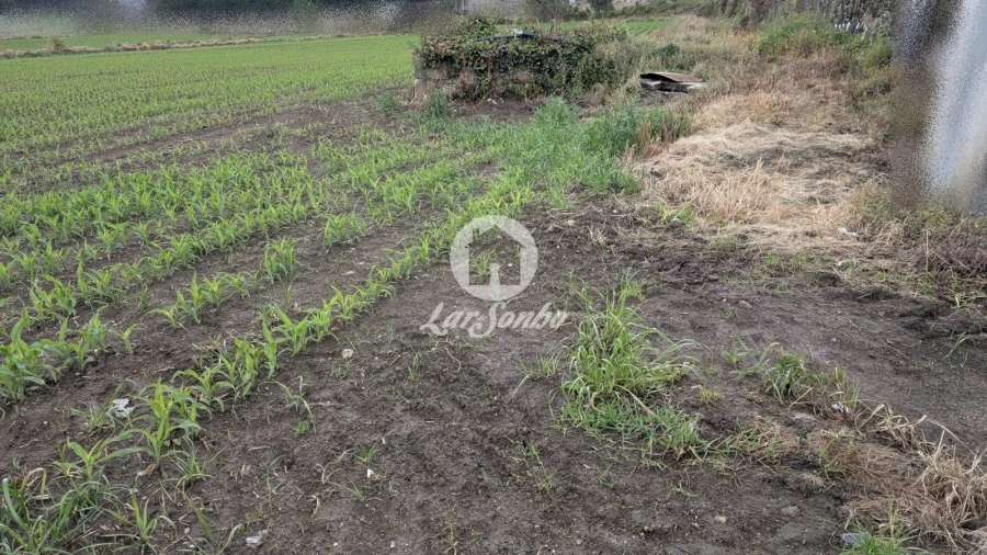 Terreno Agricola ou Rústico para Venda em Junqueira Foto 13