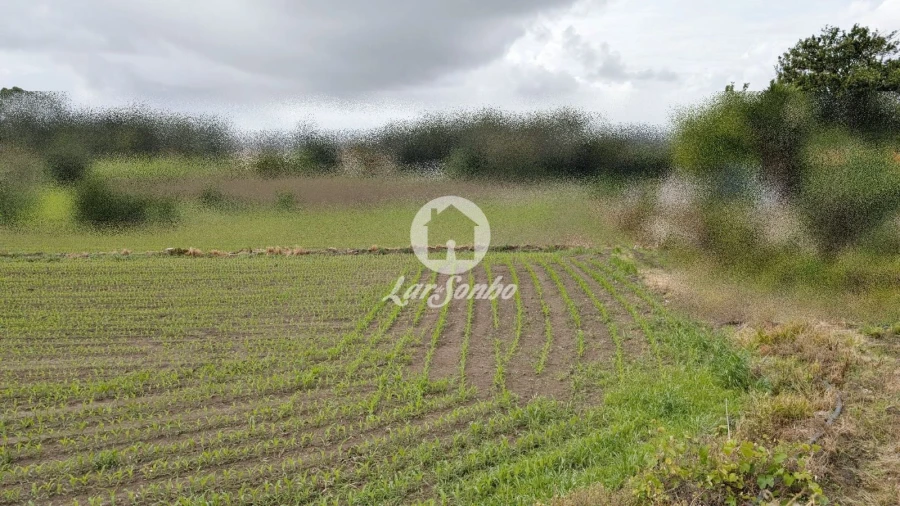 Terreno Agricola ou Rústico para Venda em Junqueira Foto 15