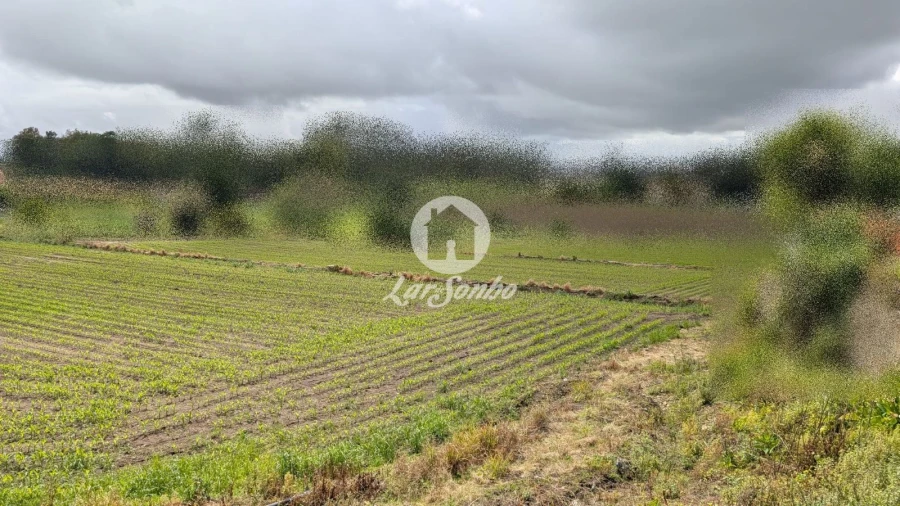 Terreno Agricola ou Rústico para Venda em Junqueira Foto 16