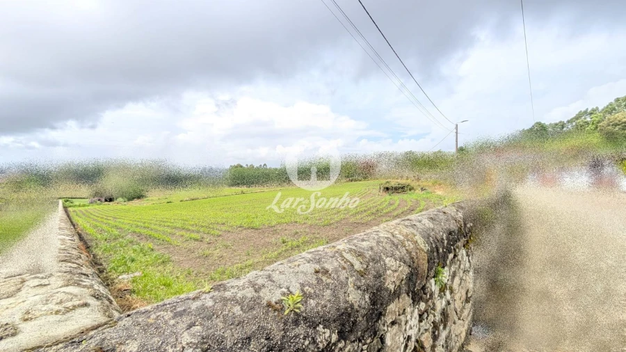 Terreno Agricola ou Rústico para Venda em Junqueira Foto 18