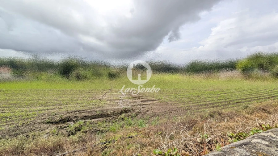 Terreno Agricola ou Rústico para Venda em Junqueira