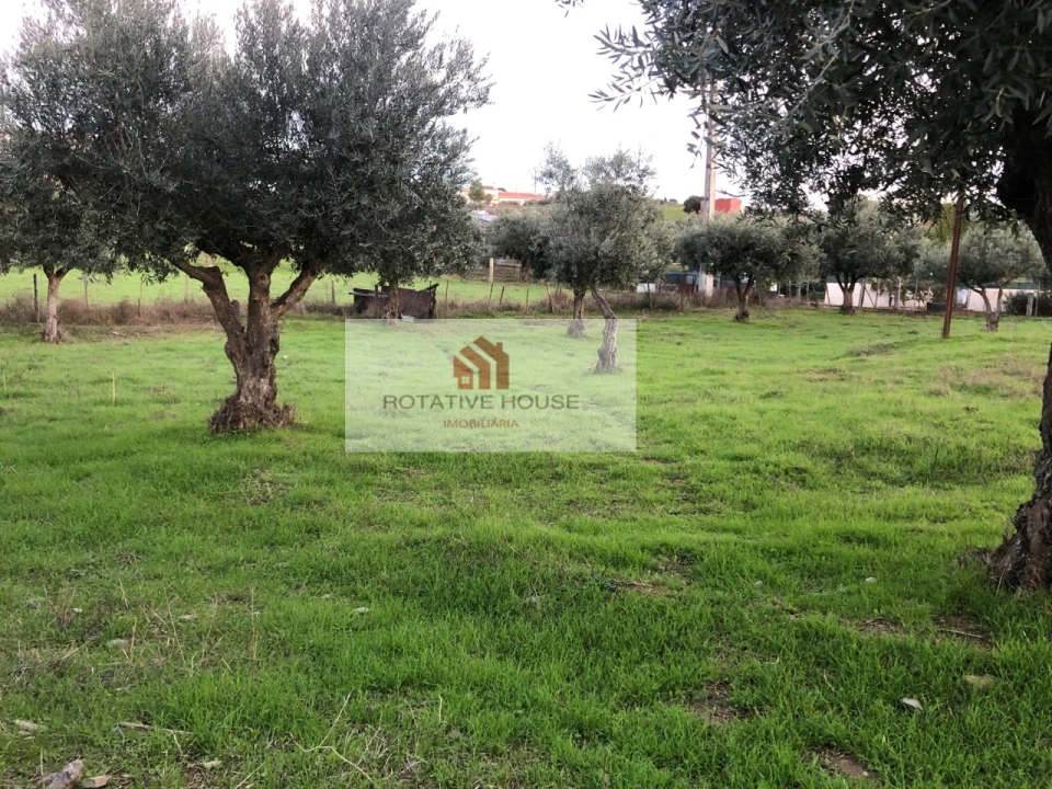 Quinta T6 para Venda em Terrugem e Vila Boim Foto 27