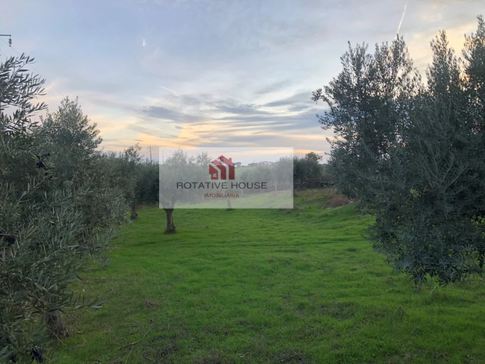 Quinta T6 para Venda em Terrugem e Vila Boim Foto 30