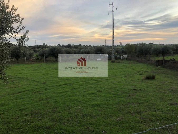 Quinta T6 para Venda em Terrugem e Vila Boim Foto 24