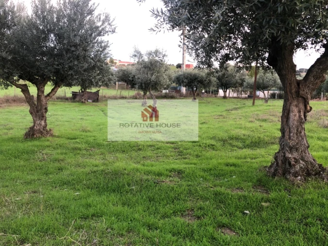 Quinta T6 para Venda em Terrugem e Vila Boim Foto 26