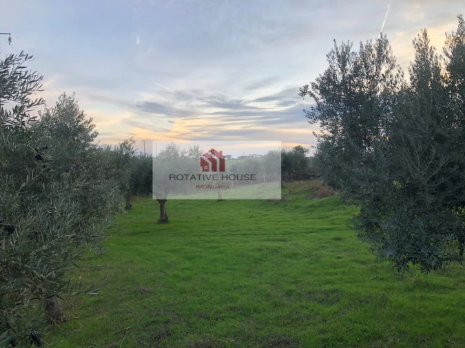 Quinta T6 para Venda em Terrugem e Vila Boim Foto 30