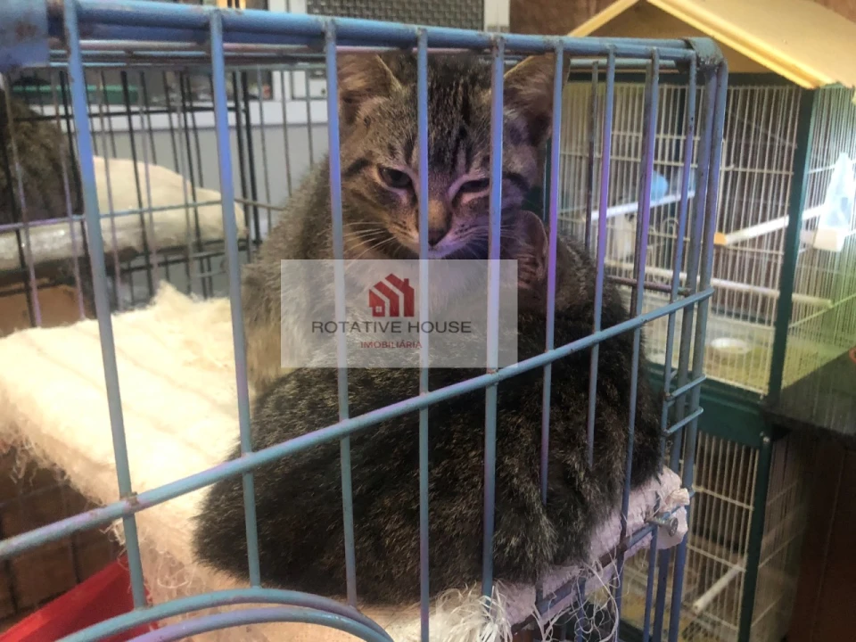 Loja para Venda em Caia, São Pedro e Alcáçova Foto 6