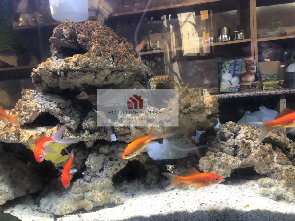 Loja para Venda em Caia, São Pedro e Alcáçova Foto 2