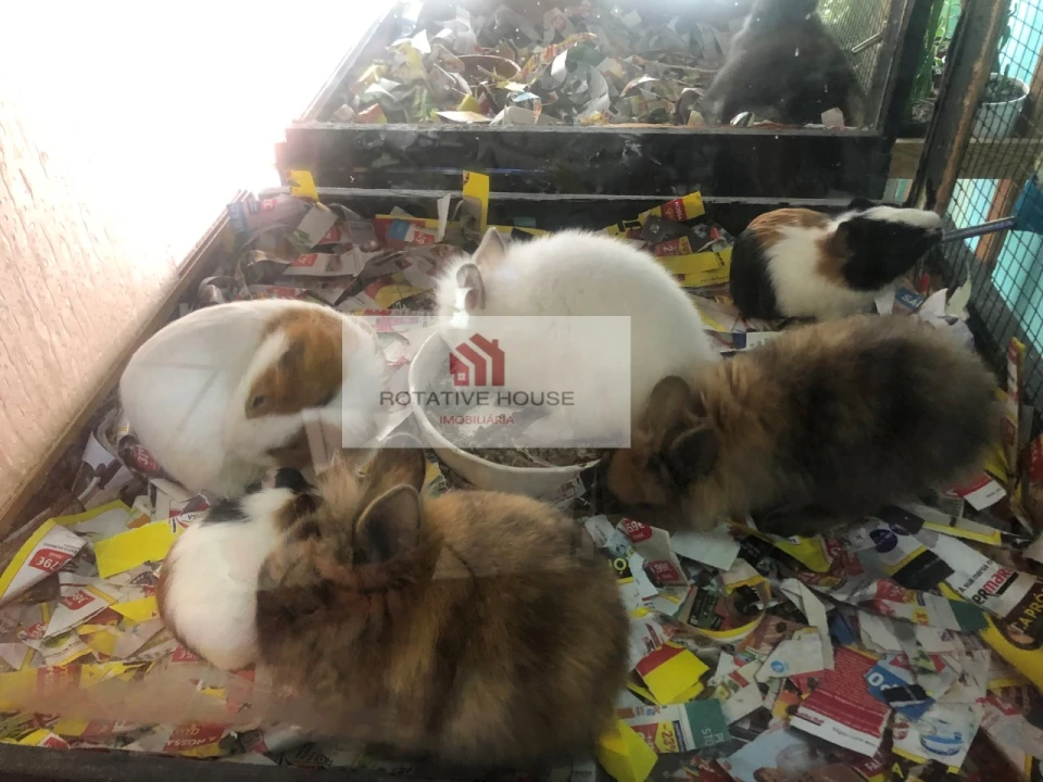 Loja para Venda em Caia, São Pedro e Alcáçova Foto 9