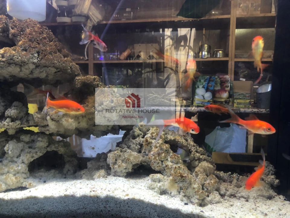 Loja para Venda em Caia, São Pedro e Alcáçova Foto 1