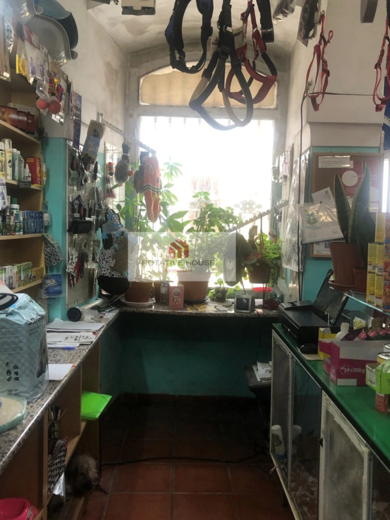 Loja para Venda em Caia, São Pedro e Alcáçova Foto 14