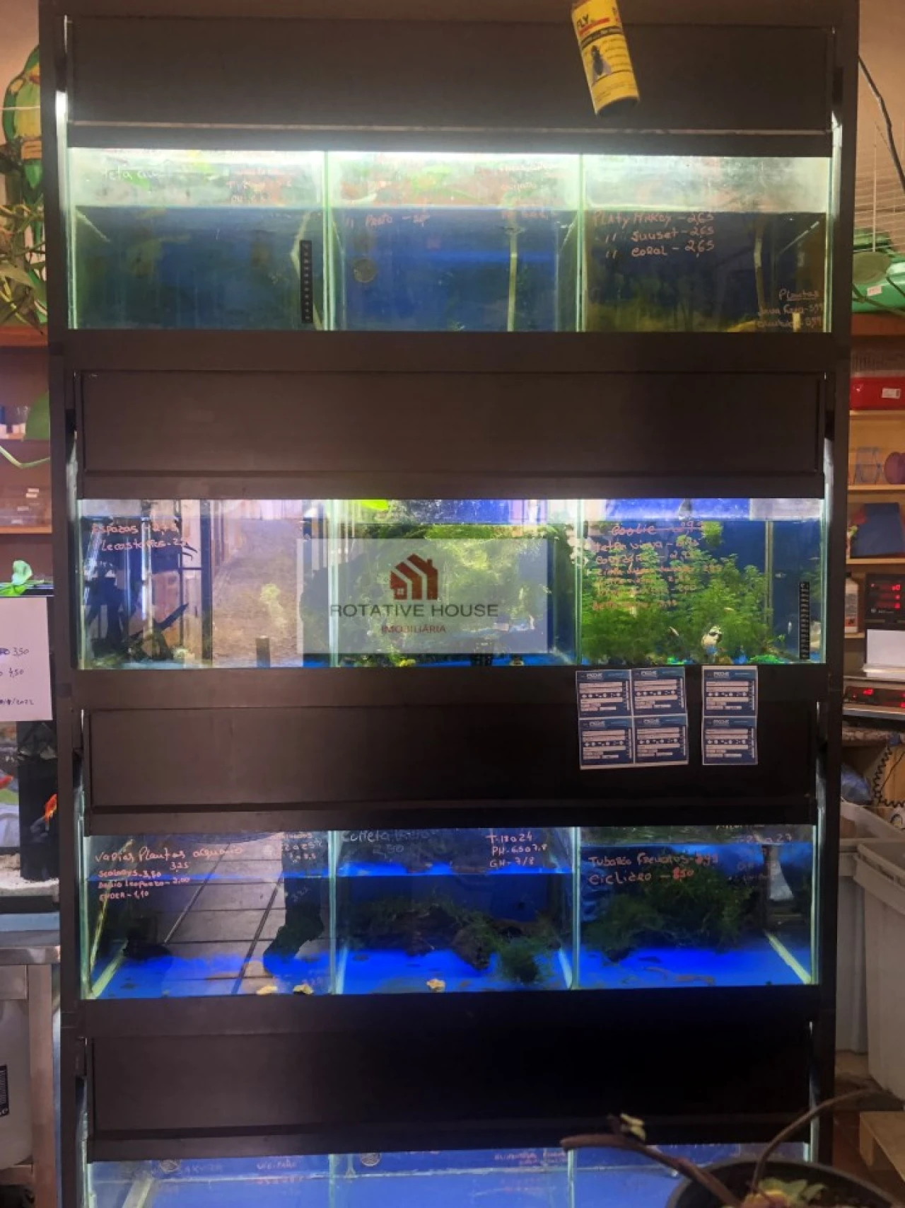 Loja para Venda em Caia, São Pedro e Alcáçova Foto 5