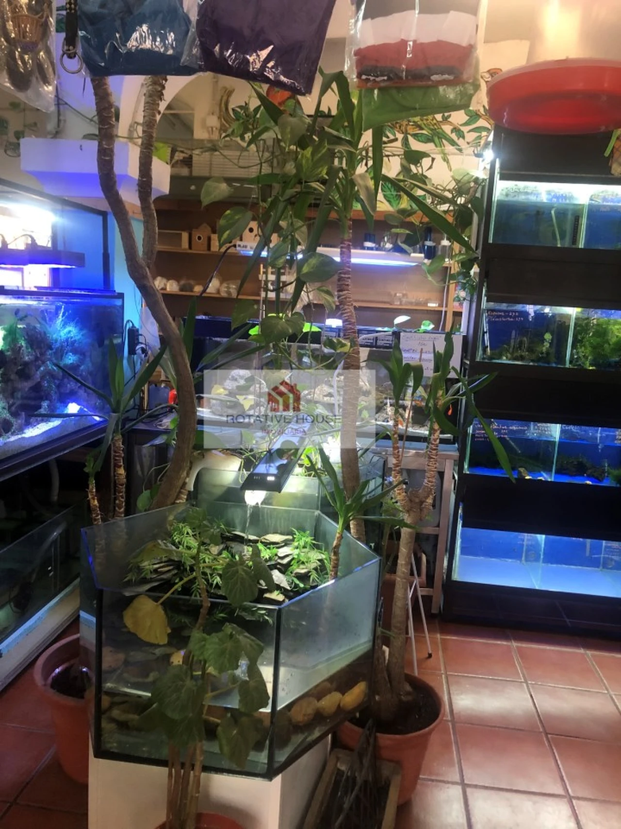 Loja para Venda em Caia, São Pedro e Alcáçova Foto 4