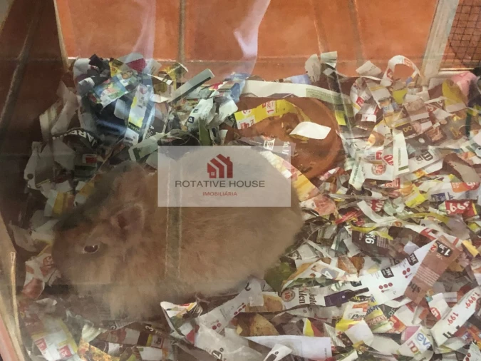 Loja para Venda em Caia, São Pedro e Alcáçova Foto 10