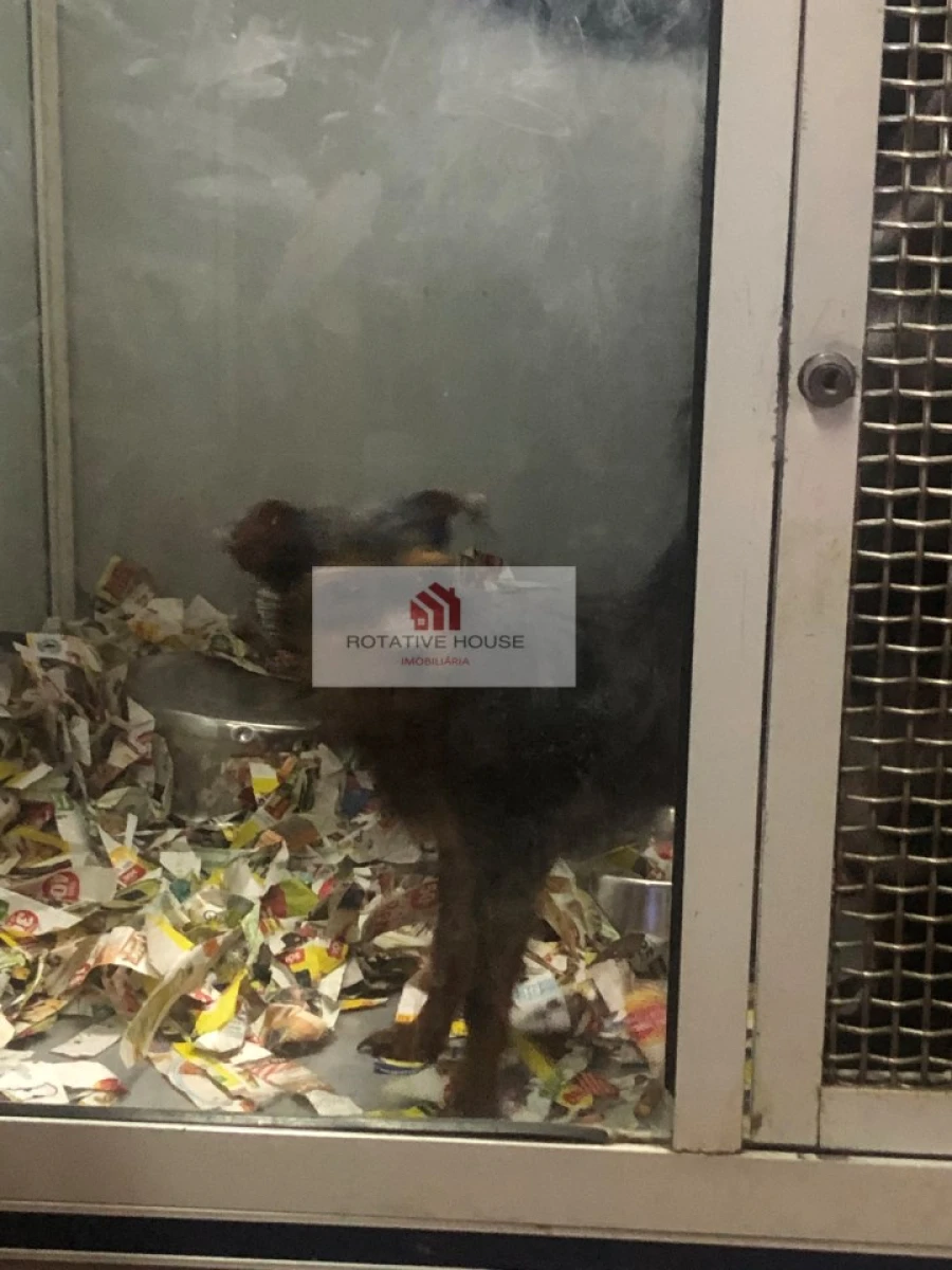 Loja para Venda em Caia, São Pedro e Alcáçova Foto 11