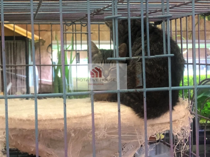 Loja para Venda em Caia, São Pedro e Alcáçova Foto 19