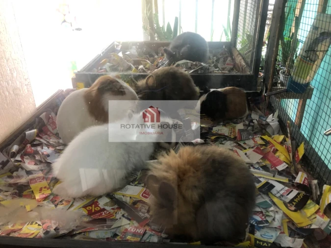 Loja para Venda em Caia, São Pedro e Alcáçova Foto 20