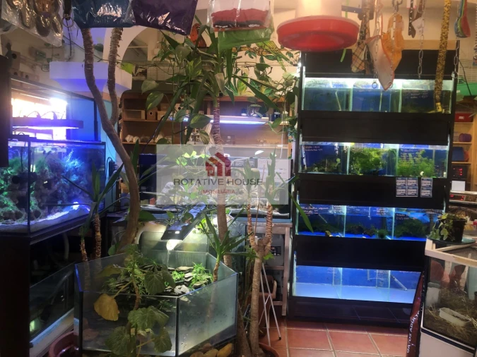 Loja para Venda em Caia, São Pedro e Alcáçova Foto 3