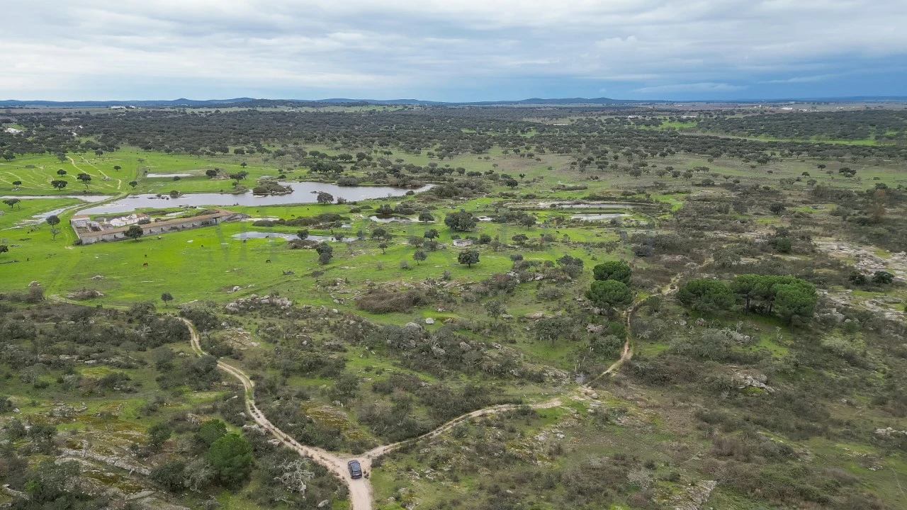 Terreno para Venda em Vimieiro Foto 17