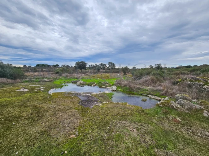 Terreno para Venda em Vimieiro Foto 2