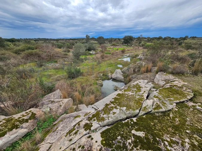Terreno para Venda em Vimieiro Foto 12