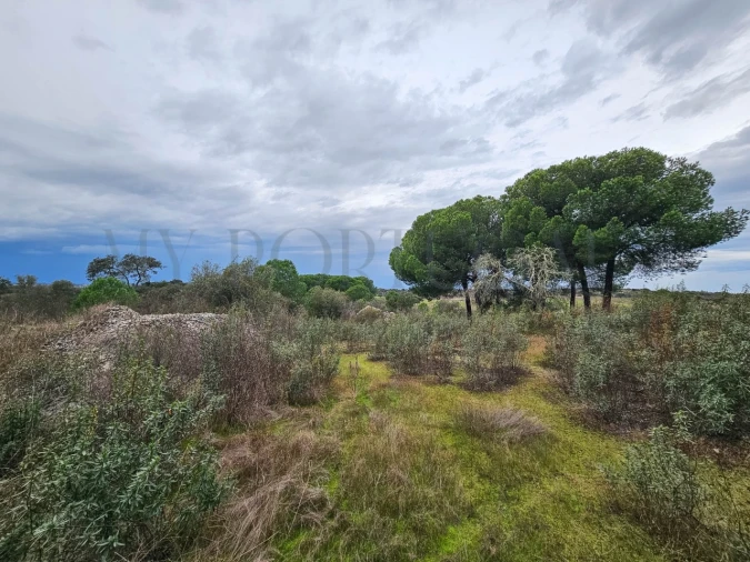 Terreno para Venda em Vimieiro Foto 13