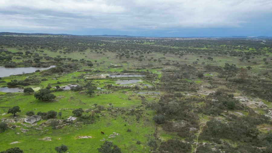 Terreno para Venda em Vimieiro Foto 15