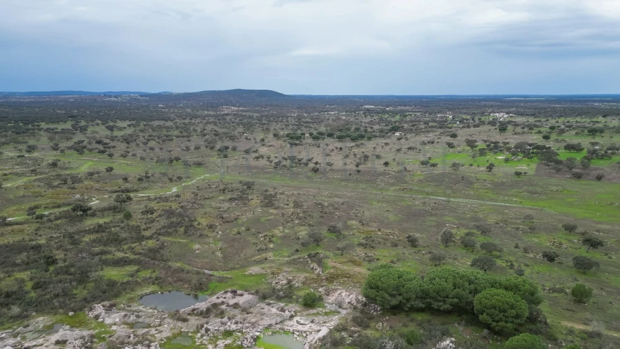 Terreno para Venda em Vimieiro Foto 16