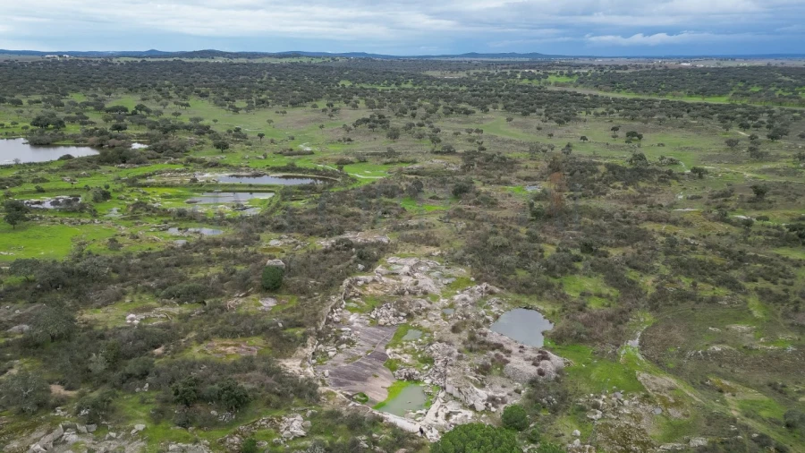 Terreno para Venda em Vimieiro Foto 21