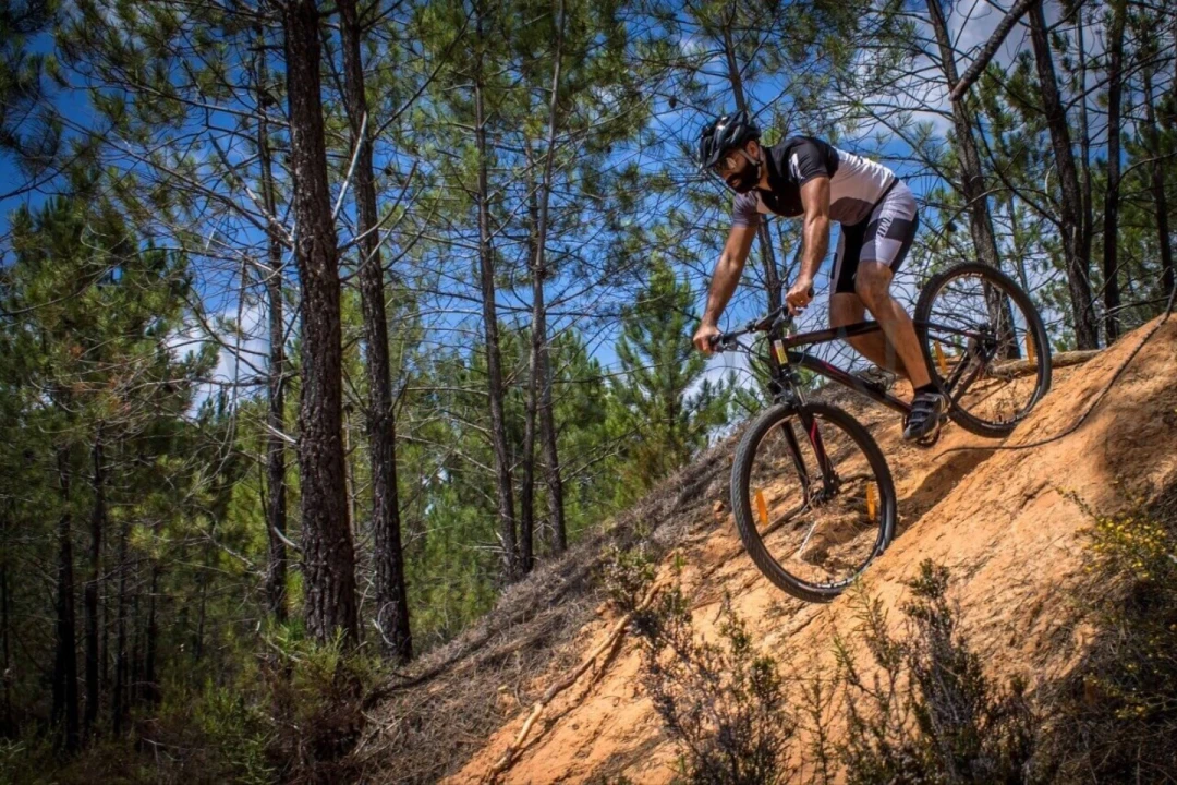 Moradia T2 para Venda em Alte Foto 30